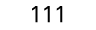 111