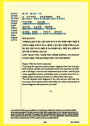 page 207