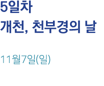 5     ,        11 7 ( )