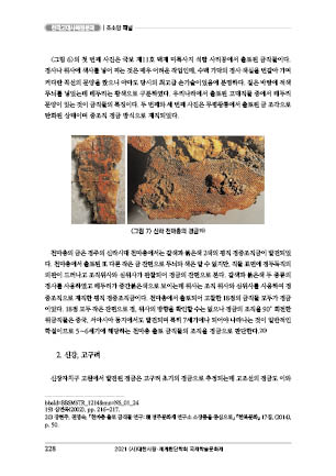 page 228