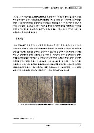 page 233